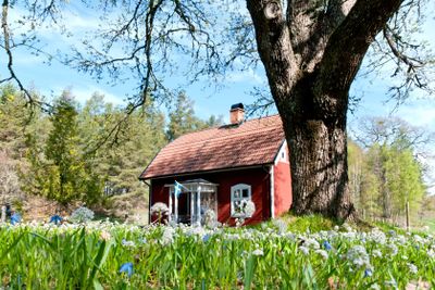 Red wooden cottage in Sweden