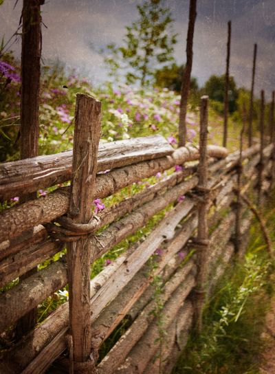 Old wooden fence