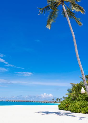 Tropical landscape on the islands and bungalows for...